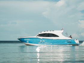 A sleek speedboat, the 'Nalin Princess 3', glides through calm waters, showcasing its vibrant blue design — perfect for exciting water adventures.