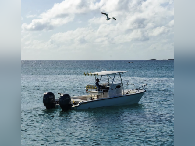 Listing image 1134391