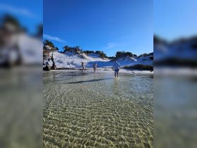 A group enjoys a sunny day at a beautiful sandbar, wading through crystal-clear waters — perfect for beach outings and relaxation.