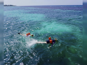 Two snorkelers explore the vibrant underwater world in clear turquoise waters, showcasing the thrill of ocean adventures.