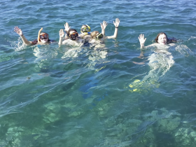 A lively group enjoys snorkeling in clear waters, showcasing the fun and excitement of underwater exploration.