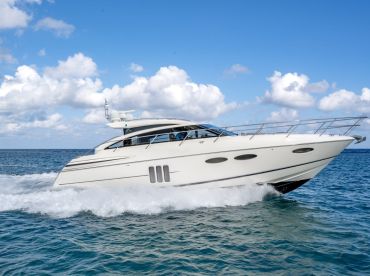 Island Dog – Sea-Rios