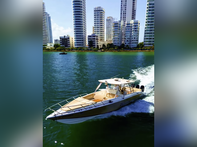 Listing image 1151130