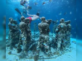 Snorkelers explore an underwater sculpture park surrounded by vibrant marine life, showcasing a unique blend of art and nature.