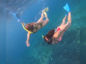 Two snorkelers explore vibrant underwater scenery, showcasing the excitement of snorkeling adventures in crystal-clear waters.