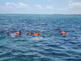 A group of snorkelers enjoys exploring the vibrant underwater world, showcasing the excitement of aquatic adventures in clear blue waters.