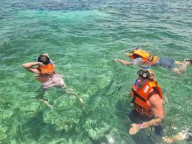 Two snorkelers explore the vibrant underwater world while wearing life jackets, showcasing the excitement of a snorkeling adventure in crystal-clear waters.