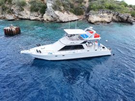 A beautiful boat anchored in clear waters with guests enjoying a swim nearby, perfect for snorkeling adventures and relaxing days on the water.