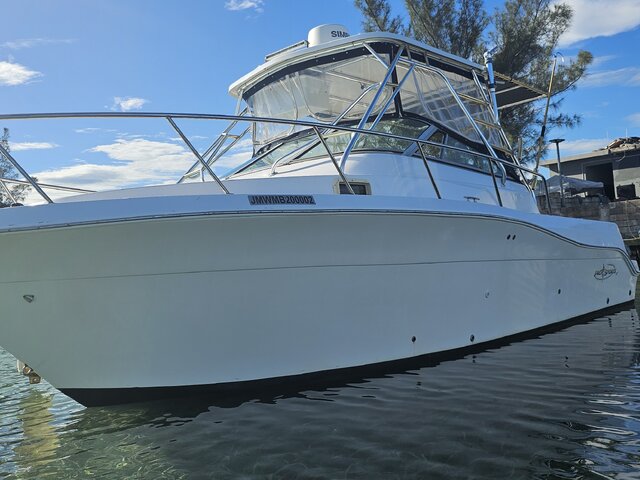 Listing image 1128893