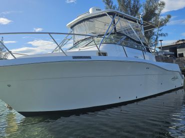 Falmouth's Coastal Cruise + Snorkel + Fishing