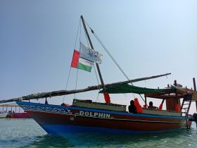 A traditional dhow named 'Dolphin' anchored in clear waters, showcasing its vibrant colors and unique design — perfect for scenic tours and cultural experiences.
