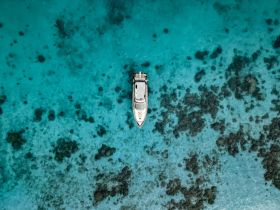 A stunning aerial view of a boat cruising over crystal-clear turquoise waters, showcasing the vibrant marine life below — perfect for highlighting scenic boating adventures.