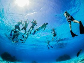 A lively group enjoys snorkeling in crystal-clear waters, showcasing the excitement of underwater exploration and marine life encounters.