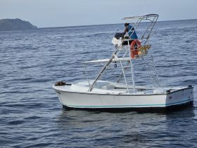 A speedboat navigates through calm waters, showcasing its sleek design and functionality — perfect for fishing or leisure outings.