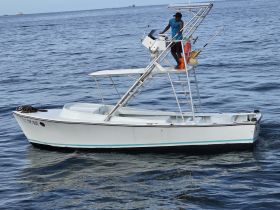 A speedboat navigates through calm waters, showcasing its sleek design and functionality — perfect for fishing or leisure outings.