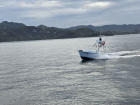 A speedboat navigates through calm waters, showcasing its sleek design and the scenic mountainous backdrop — perfect for adventure seekers on the water.