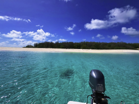 A stunning view of a pristine beach with crystal-clear turquoise waters, perfect for a relaxing day on the water or exploring coastal destinations.