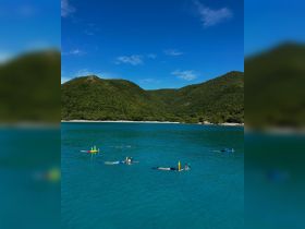A group of snorkelers enjoys the vibrant underwater world in crystal-clear waters, surrounded by lush green hills — an ideal setting for aquatic adventures.