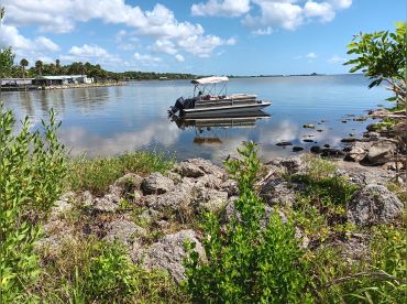 Calypso Kayaking & Boat Tours