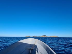 A serene view from the front of a boat, showcasing the clear blue waters and distant islands under a bright sky — perfect for exploring tropical destinations.