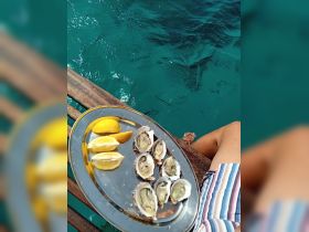 A delicious platter of fresh oysters and lemon slices, perfect for enjoying a seafood feast while relaxing by the water.