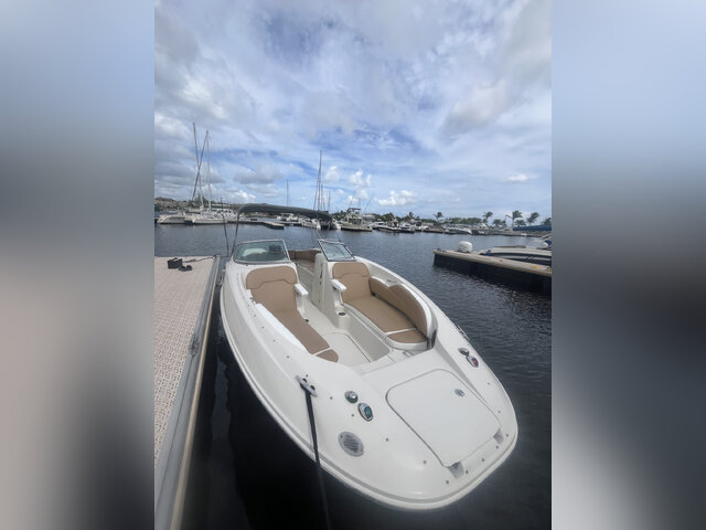 Listing image 1131822