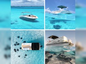 A stunning aerial view showcases stingrays swimming in crystal-clear waters, with boats nearby, highlighting the beauty of marine wildlife encounters.