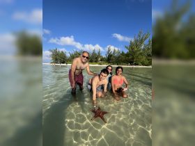 A group of friends interacts with a starfish in shallow waters, showcasing a memorable wildlife experience in a tropical setting.
