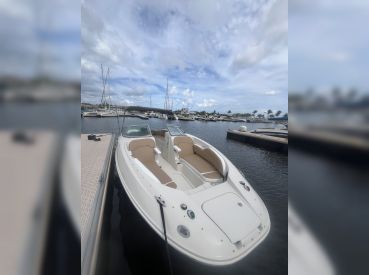 Cayman Experiences – Searay 260 Bowrider