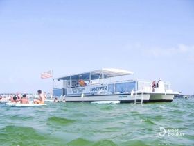 A lively group enjoys a fun day on the water with Sandy Bottom Boat Tours, featuring swimming and relaxation around a pontoon boat.