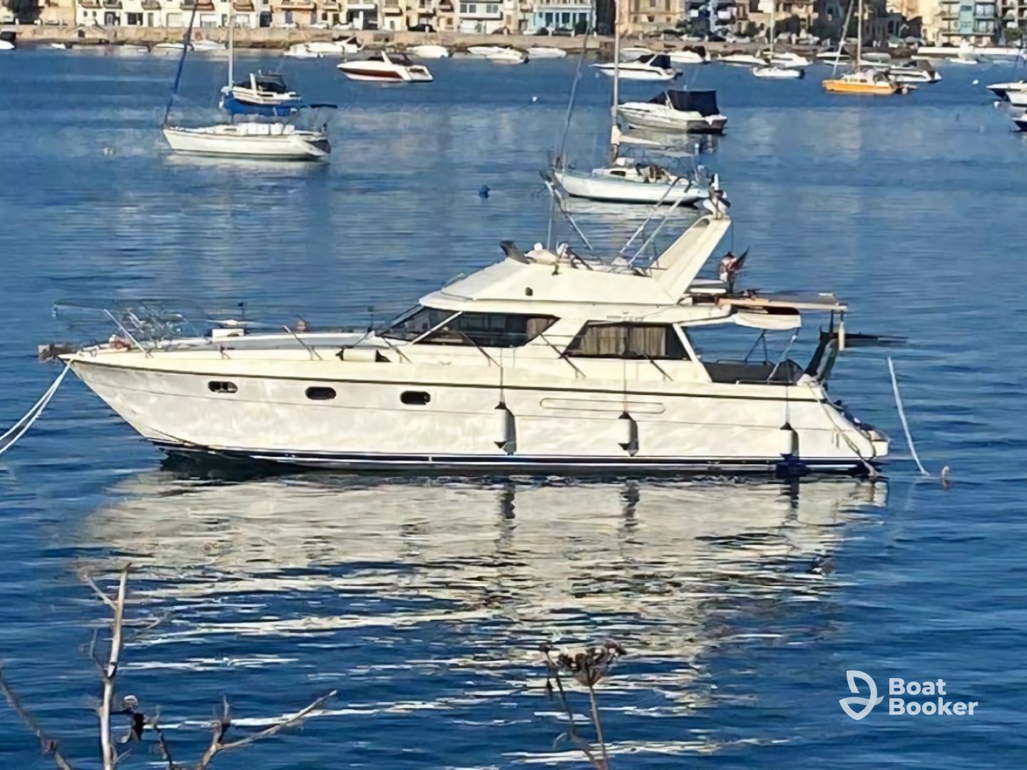 Zeppi boat Charters