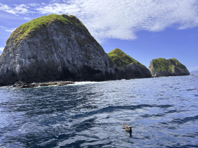A stunning view of rocky islands surrounded by clear blue waters, showcasing the natural beauty of the coastline — perfect for eco tours and scenic boat trips.
