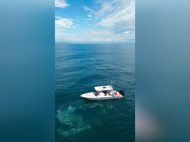 Listing image 1130813