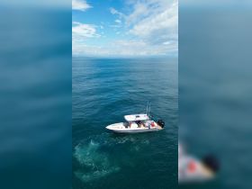 Charter Image