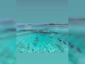 A group enjoys snorkeling in the crystal-clear waters, showcasing a vibrant underwater experience perfect for adventure seekers.
