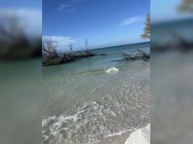 A scenic view of a shoreline with gentle waves and sparse vegetation, capturing the tranquil essence of coastal landscapes.
