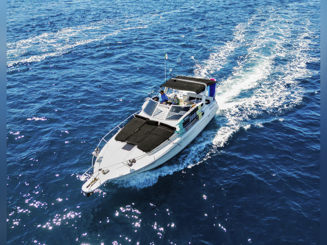 Listing image 1167421