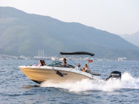 A lively group enjoys a thrilling ride on a speedboat, surrounded by stunning mountain scenery — perfect for adventurous outings on the water.