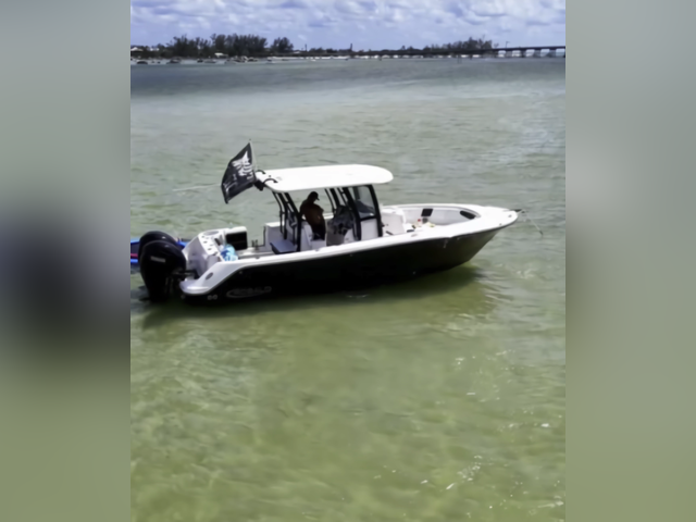 Listing image 1131804