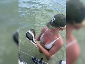 A woman holds a large shell while standing in shallow water, showcasing a unique human-animal interaction during a fun day on the water.