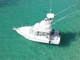 Charter Image