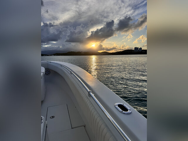 Listing image 1134915