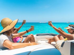 A joyful group toasts with drinks aboard a boat, enjoying the stunning turquoise waters — perfect for a fun day out on the water.