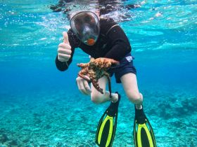 A snorkeler gives a thumbs up while holding an octopus underwater, showcasing a unique marine encounter in vibrant coral surroundings.