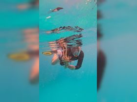A snorkeler captures a lobster underwater, showcasing the excitement of marine life exploration during a diving adventure.