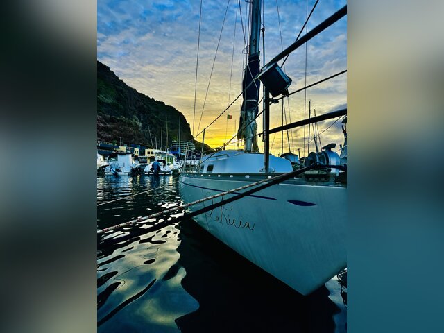 Listing image 1132248