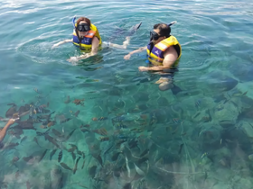 Two snorkelers explore vibrant underwater life in crystal-clear waters, surrounded by colorful fish — a perfect adventure for marine enthusiasts.