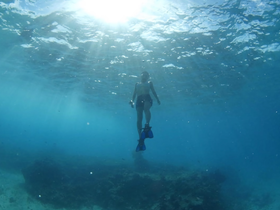 A snorkeler explores the vibrant underwater world, showcasing the beauty of marine life and clear blue waters — an unforgettable adventure for ocean enthusiasts.