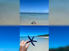 Two children play in shallow waters while one holds a vibrant starfish, showcasing a delightful beach experience and marine wildlife interaction.