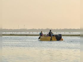 A group enjoys a serene kayaking experience at sunset, surrounded by stunning scenery and wildlife in the background.